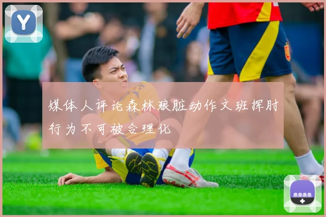 媒体人评论森林狼脏动作文班挥肘行为不可被合理化